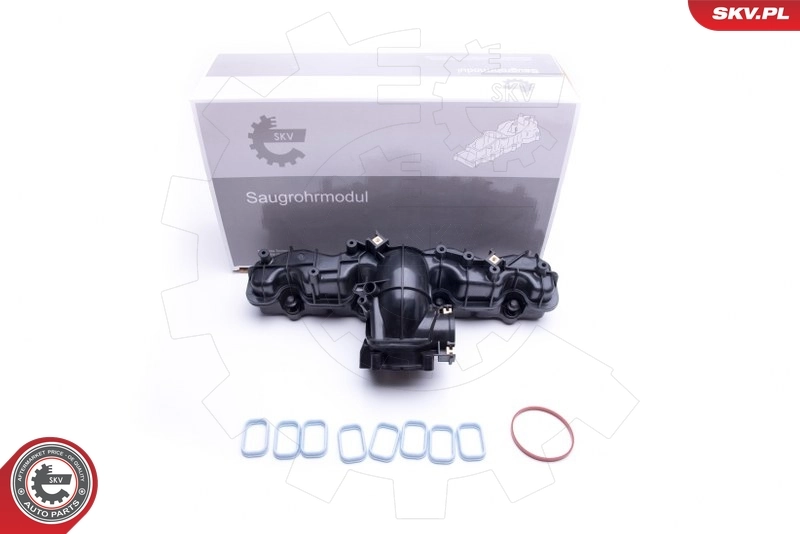 Intake Manifold Module